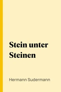 Stein unter Steinen_cover