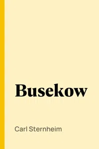 Busekow_cover