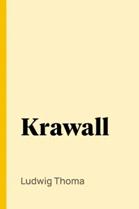 Krawall_cover