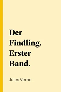 Der Findling. Erster Band._cover