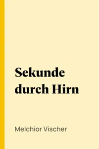 Sekunde durch Hirn_cover