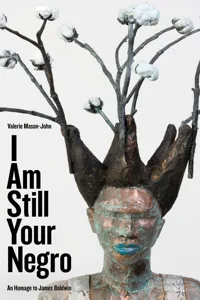 I Am Still Your Negro_cover