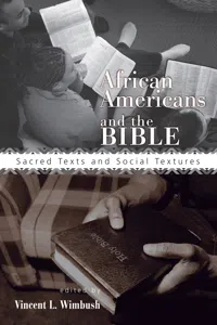 African Americans and the Bible_cover