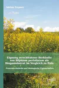 Eignung verschiedener Herkünfte von Silphium perfoliatum als Biogassubstrat im Vergleich zu Mais: Prozesstechnische und ökologische Eigenschaften_cover