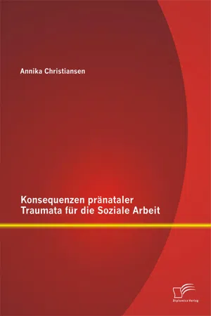 Konsequenzen pränataler Traumata für die Soziale Arbeit