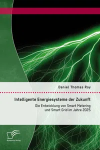 Intelligente Energiesysteme der Zukunft: Die Entwicklung von Smart Metering und Smart Grid im Jahre 2025_cover