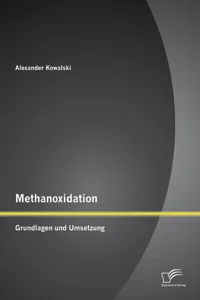 Methanoxidation: Grundlagen und Umsetzung_cover