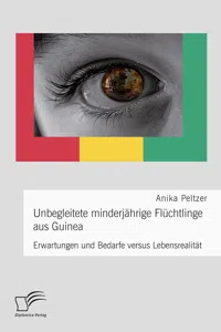 Unbegleitete minderjährige Flüchtlinge aus Guinea. Erwartungen und Bedarfe versus Lebensrealität_cover