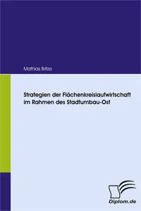 Strategien der Flächenkreislaufwirtschaft im Rahmen des Stadtumbau-Ost_cover