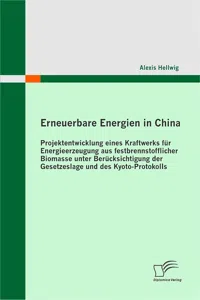 Erneuerbare Energien in China: Projektentwicklung eines Kraftwerks für Energieerzeugung aus festbrennstofflicher Biomasse unter Berücksichtigung der Gesetzeslage und des Kyoto-Protokolls_cover