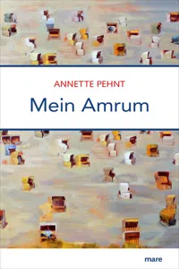 Mein Amrum_cover