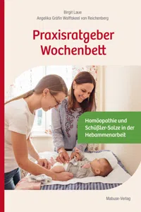 Praxisratgeber Wochenbett_cover