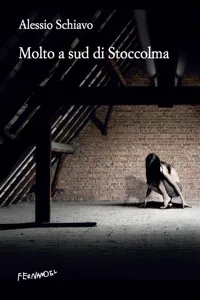 Molto a sud di Stoccolma_cover