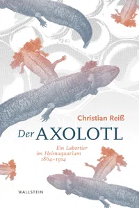 Der Axolotl_cover