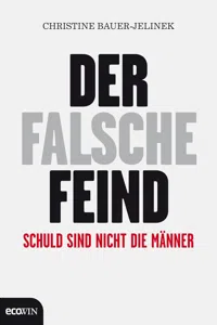 Der falsche Feind_cover