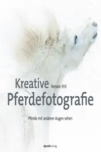 Kreative Pferdefotografie_cover