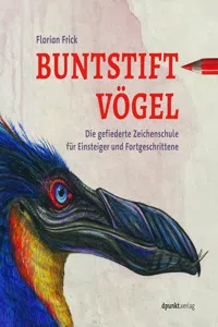 Buntstiftvögel_cover