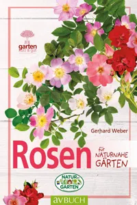 Rosen_cover