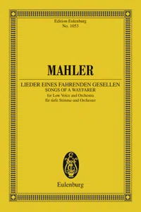 Lieder eines fahrenden Gesellen_cover