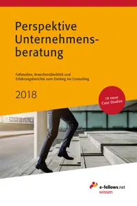 Perspektive Unternehmensberatung 2018_cover