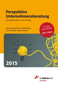 Perspektive Unternehmensberatung 2015_cover