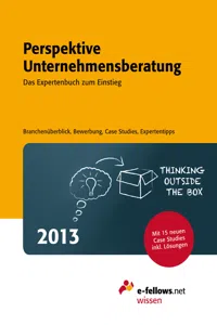 Perspektive Unternehmensberatung 2013_cover