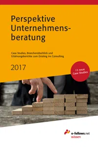 Perspektive Unternehmensberatung 2017_cover