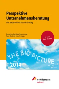 Perspektive Unternehmensberatung 2014_cover