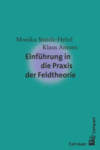 Einführung in die Praxis der Feldtheorie_cover