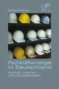 Fachkräftemangel in Deutschland: Ausmaß, Ursachen und Lösungsstrategien_cover