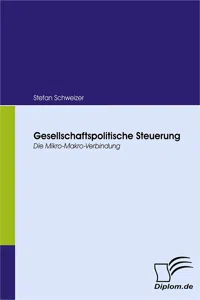 Gesellschaftspolitische Steuerung_cover