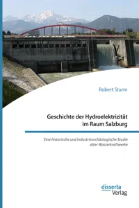 Geschichte der Hydroelektrizität im Raum Salzburg. Eine historische und industriearchäologische Studie alter Wasserkraftwerke_cover