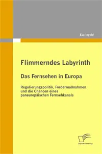 Flimmerndes Labyrinth: Das Fernsehen in Europa – Regulierungspolitik, Fördermaßnahmen und die Chancen eines paneuropäischen Fernsehkanals_cover