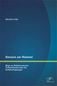 Kerosin am Himmel: Wege zur Reduzierung des Treibstoffverbrauchs von Verkehrsflugzeugen_cover