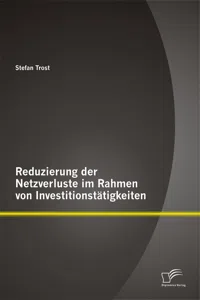 Reduzierung der Netzverluste im Rahmen von Investitionstätigkeiten_cover