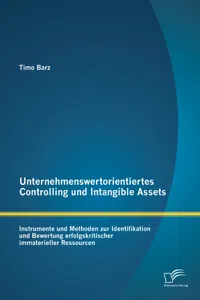 Unternehmenswertorientiertes Controlling und Intangible Assets: Instrumente und Methoden zur Identifikation und Bewertung erfolgskritischer immaterieller Ressourcen_cover