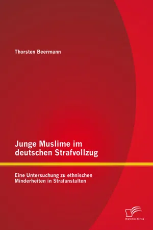 Junge Muslime im deutschen Strafvollzug: Eine Untersuchung zu ethnischen Minderheiten in Strafanstalten