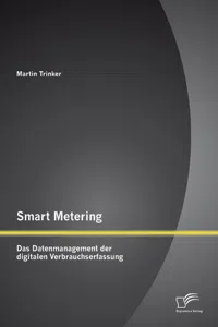 Smart Metering: Das Datenmanagement der digitalen Verbrauchserfassung_cover