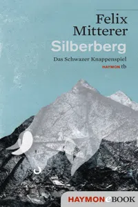 Silberberg_cover