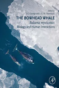The Bowhead Whale_cover