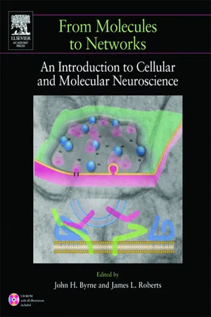 From Molecules to Networks