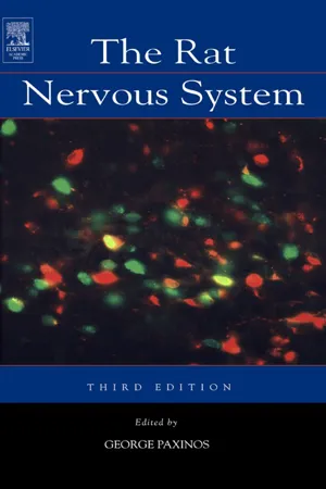 The Rat Nervous System