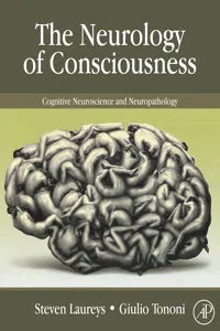 The Neurology of Consciousness_cover