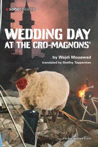 Wedding Day at the Cro-Magnons_cover