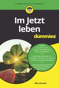 Im Jetzt leben für Dummies_cover