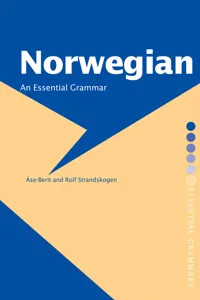 Norwegian: An Essential Grammar_cover