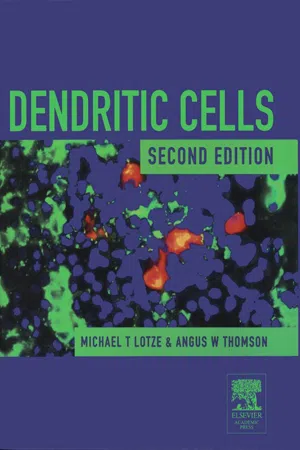 Dendritic Cells