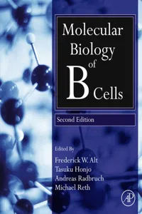 Molecular Biology of B Cells_cover