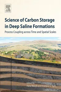 Science of Carbon Storage in Deep Saline Formations_cover