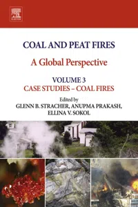 Coal and Peat Fires: A Global Perspective_cover